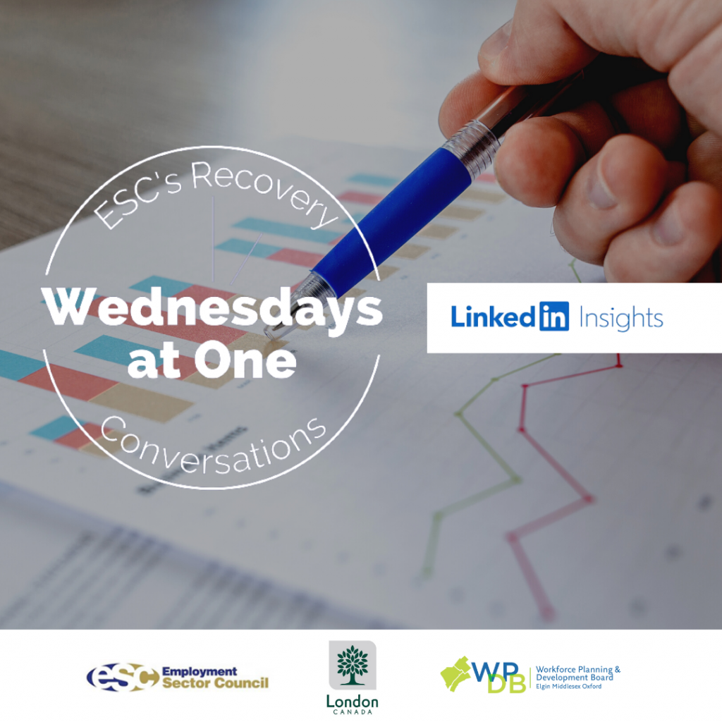 LinkedIn Insights